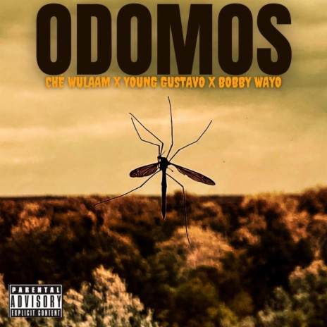 ODOMOS ft. Young Gustavo & Bobby Wayo | Boomplay Music