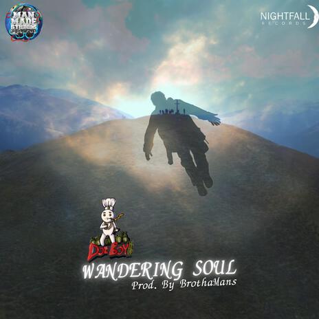 Wandering Soul | Boomplay Music