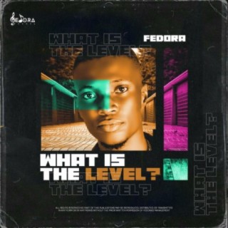 What Is The Level? lyrics | Boomplay Music