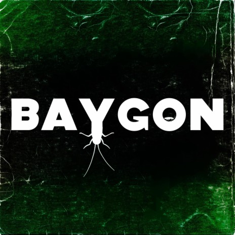 BAYGON | Boomplay Music
