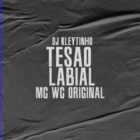 Tesão Labial ft. Mc Wc Original | Boomplay Music