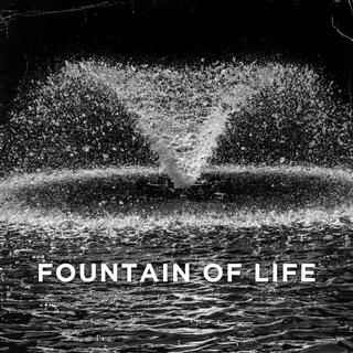 Fountain of Life lyrics | Boomplay Music