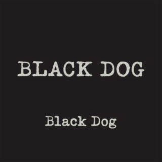 Black Dog