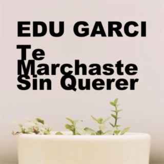 Te marchaste sin querer