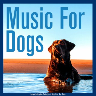 Music For Dogs: Instant Relaxation Collection to Help Your Dog Sleep