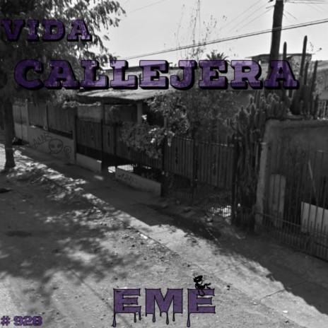 Vida Callejera | Boomplay Music