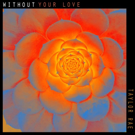Without Your Love | Boomplay Music
