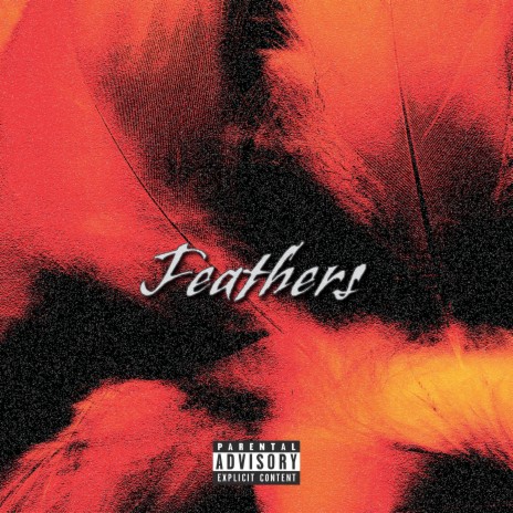 Feathers | Boomplay Music