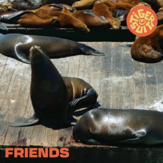 Friends lyrics | Boomplay Music