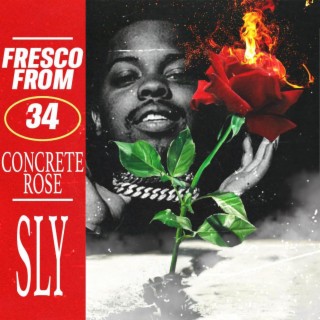 Concrete Rose