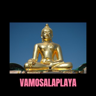 Vamosalaplaya