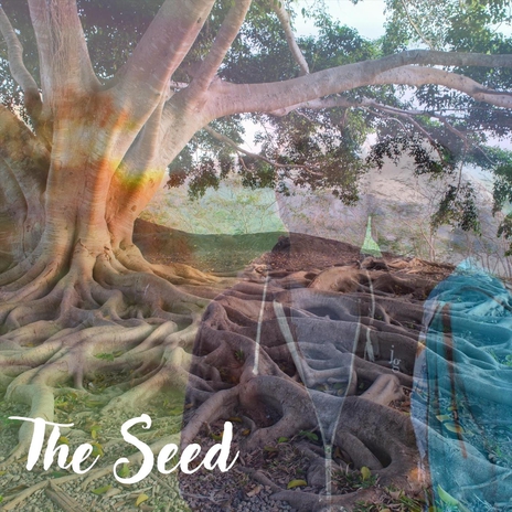 The Seed | Boomplay Music