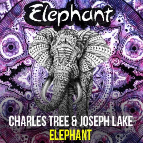 Elephant ft. Joseph Lake | Boomplay Music