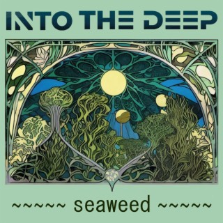 Seaweed lyrics | Boomplay Music