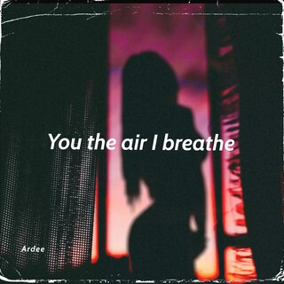 You The Air I Breathe