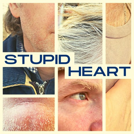Stupid Heart