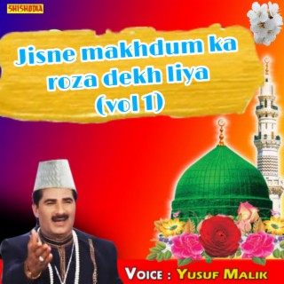 Jisne Makhdum Ka Roza Dekh Liya Vol 01