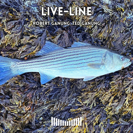 Live-Line ft. Robert Ganung