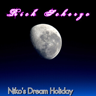 Niko's Dream Holiday