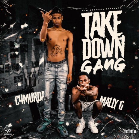 Take Down Gang ft. Mally G | Boomplay Music