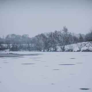 Silent Winter