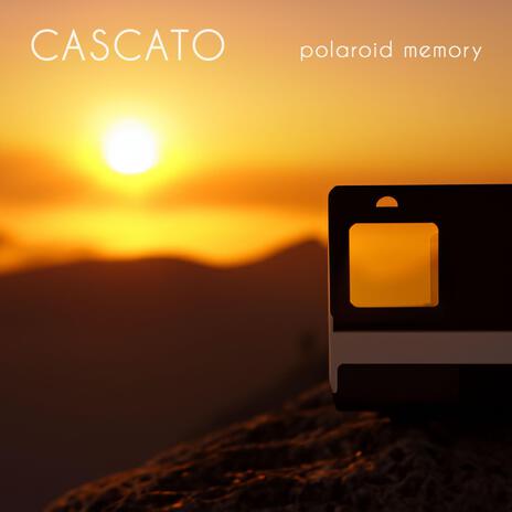 polaroid memory | Boomplay Music