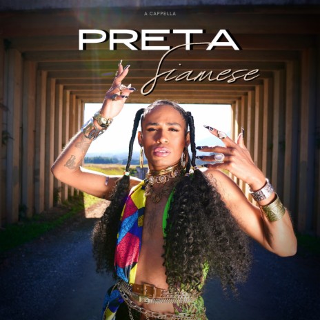 Preta (Acapella) | Boomplay Music