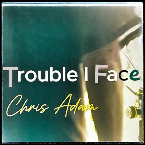 The Trouble I Face | Boomplay Music