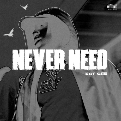 NEVER NEED ft. Selfpaid Savage | Boomplay Music