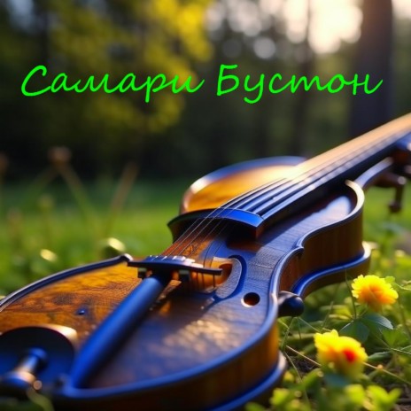 Самари бустон | Boomplay Music