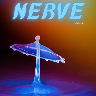 Nerve