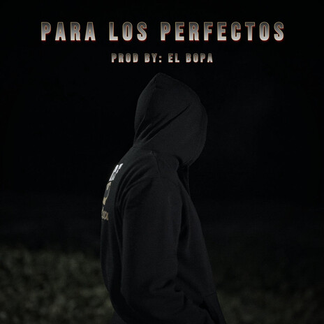 Para los Perfectos | Boomplay Music