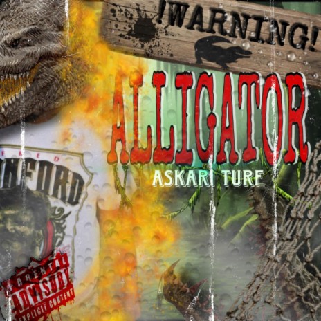 Alligator | Boomplay Music