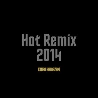 Hot Remix 2014