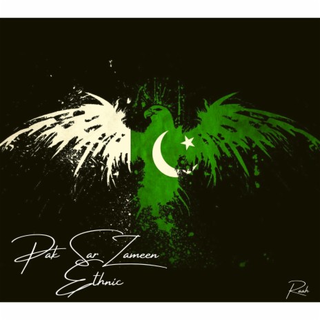 Pak Sar Zameen (Ethnic) | Boomplay Music