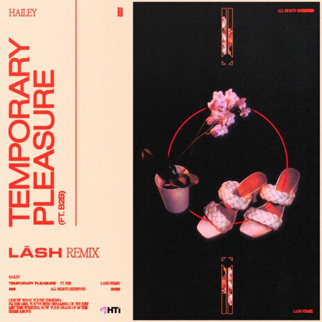 Temporary Pleasure (Lash Remix) ft. Lash & Back 2 Basics | Boomplay Music