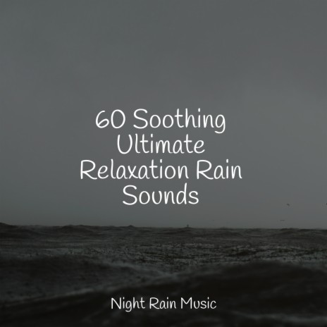 White Noise Rain Drops | Boomplay Music