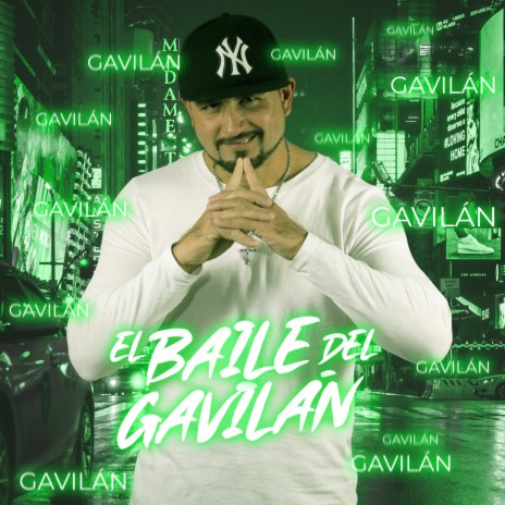 El Baile Del Gavilán | Boomplay Music