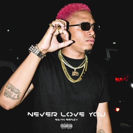 Never Love You (Slow & Nasty)
