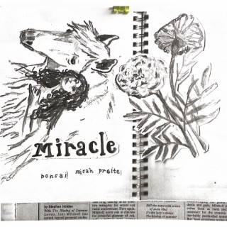 miracle