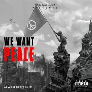 We want peace x sentence ×faro baby (Radio Edit)