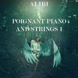 Poignant Piano and Strings, Vol. 1