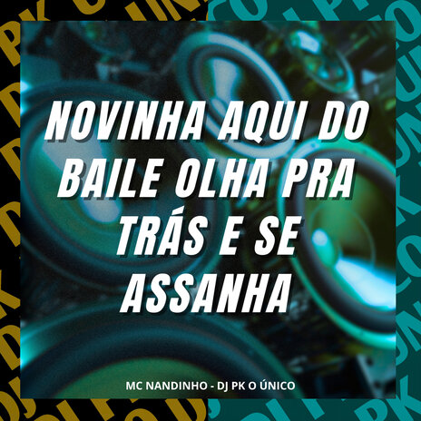 Novinha Aqui do Baile Olha pra Trás e Se Assanha ft. DJ PK O Único | Boomplay Music