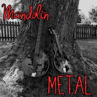 Mandolin Metal