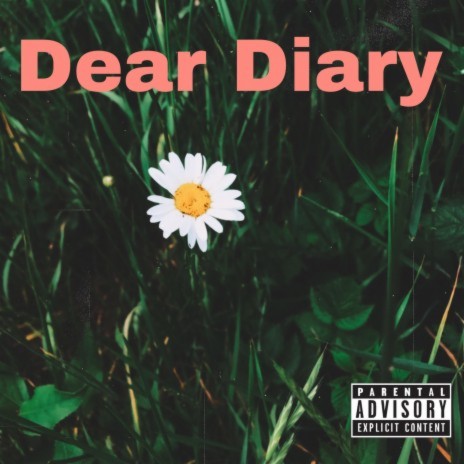 Dear Diary | Boomplay Music