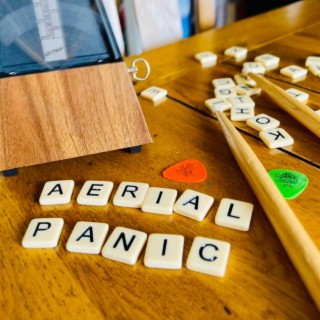 Aerial Panic