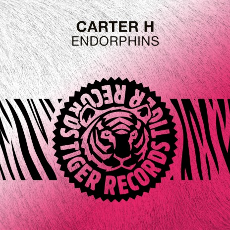 Endorphins (Radio Edit) | Boomplay Music