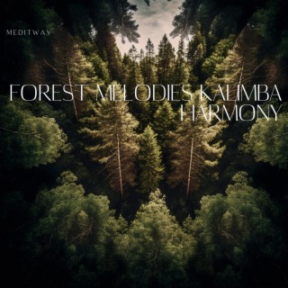 Forest Melodies: Kalimba Harmony