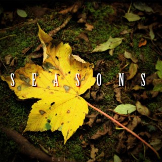 Seasons