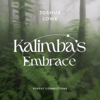 Kalimba's Embrace: Forest Connections